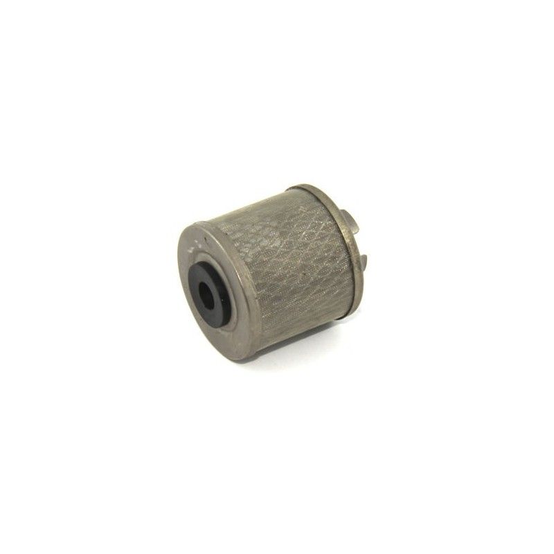 Filtre à huile interne métallique pour moteurs YX et ZS 190