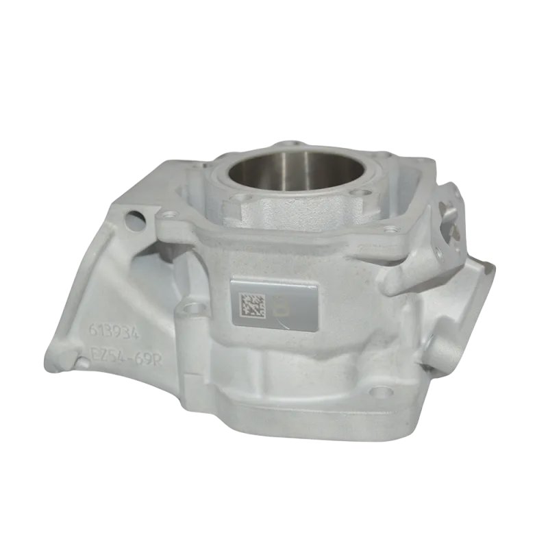 CYLINDRE DD2 EVO 2024 'A'