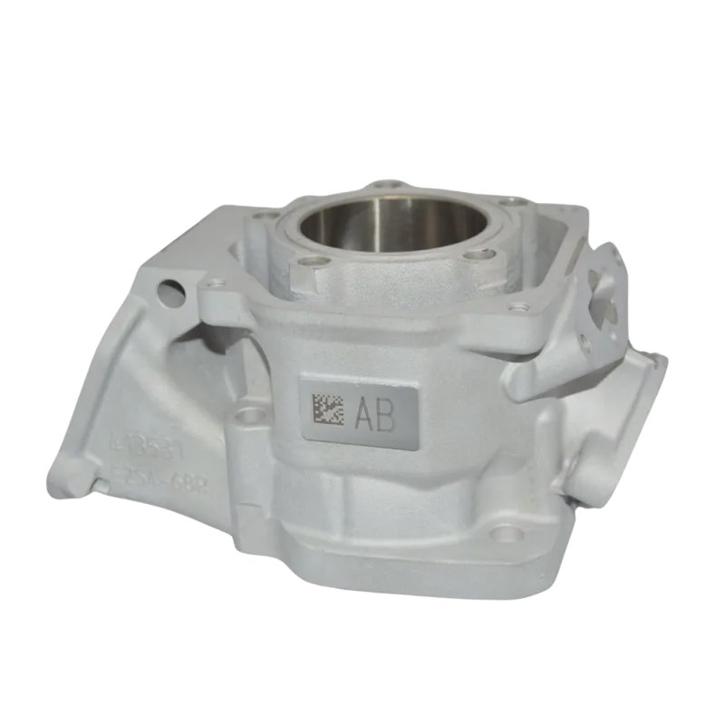 CYLINDRE MAX EVO 2024 'AB'