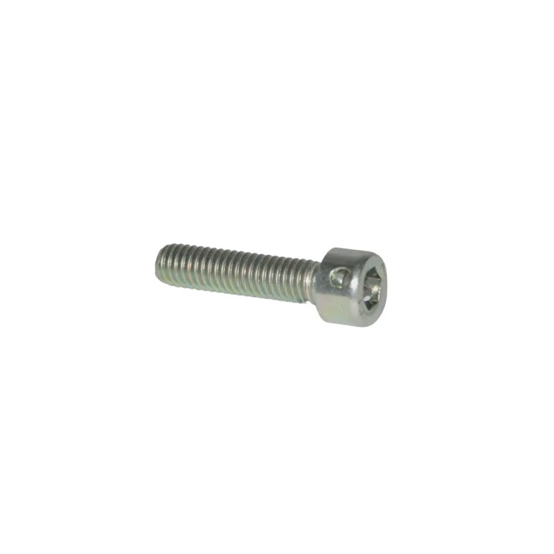 VIS M6X25 PERCEE POUR PLOMBAGE